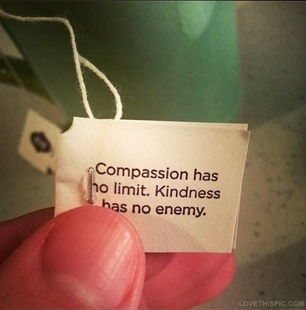 Quotes About Kindness And Compassion
 Use your voice for kindness Use your voice for kindness