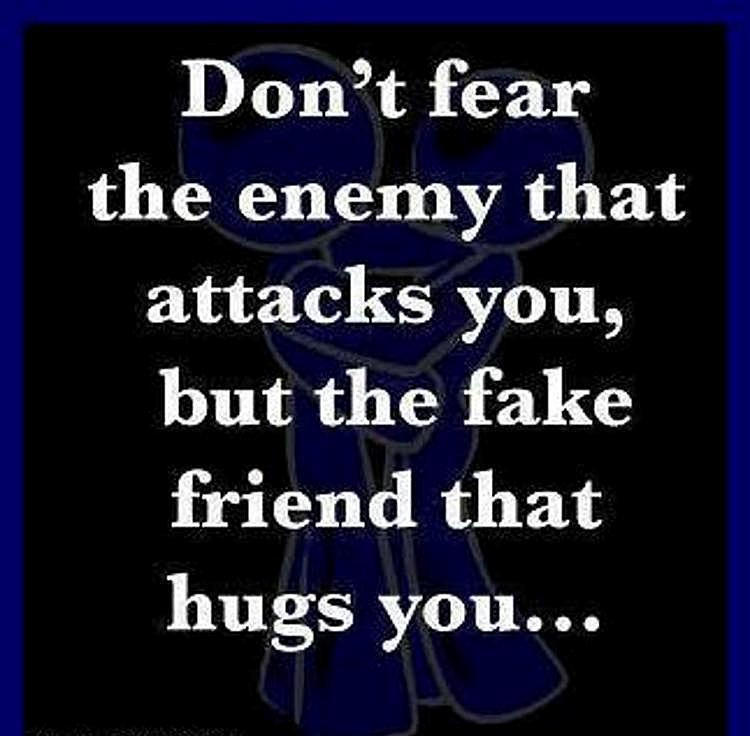 Quotes Fake Friendship
 Best Friend Quotes Sayings about true friends Page 6