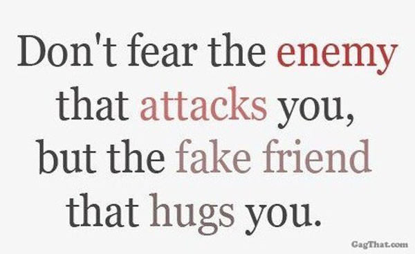 Quotes Fake Friendship
 FACEBOOK STATUS QUOTES ABOUT FAKE FRIENDS image quotes at