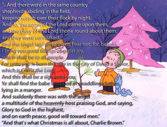 Quotes From Charlie Brown Christmas
 charlie brown christmas quotes to share