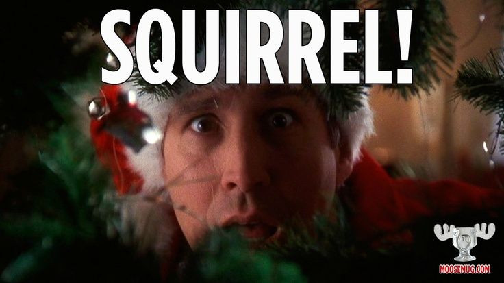 Quotes From National Lampoon'S Christmas Vacation
 Palmetto Exterminators 12 Days of Christmas Day 7