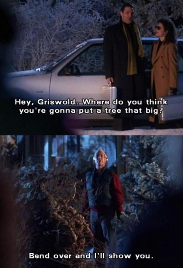 Quotes From National Lampoon'S Christmas Vacation
 25 best Christmas Vacation Quotes on Pinterest
