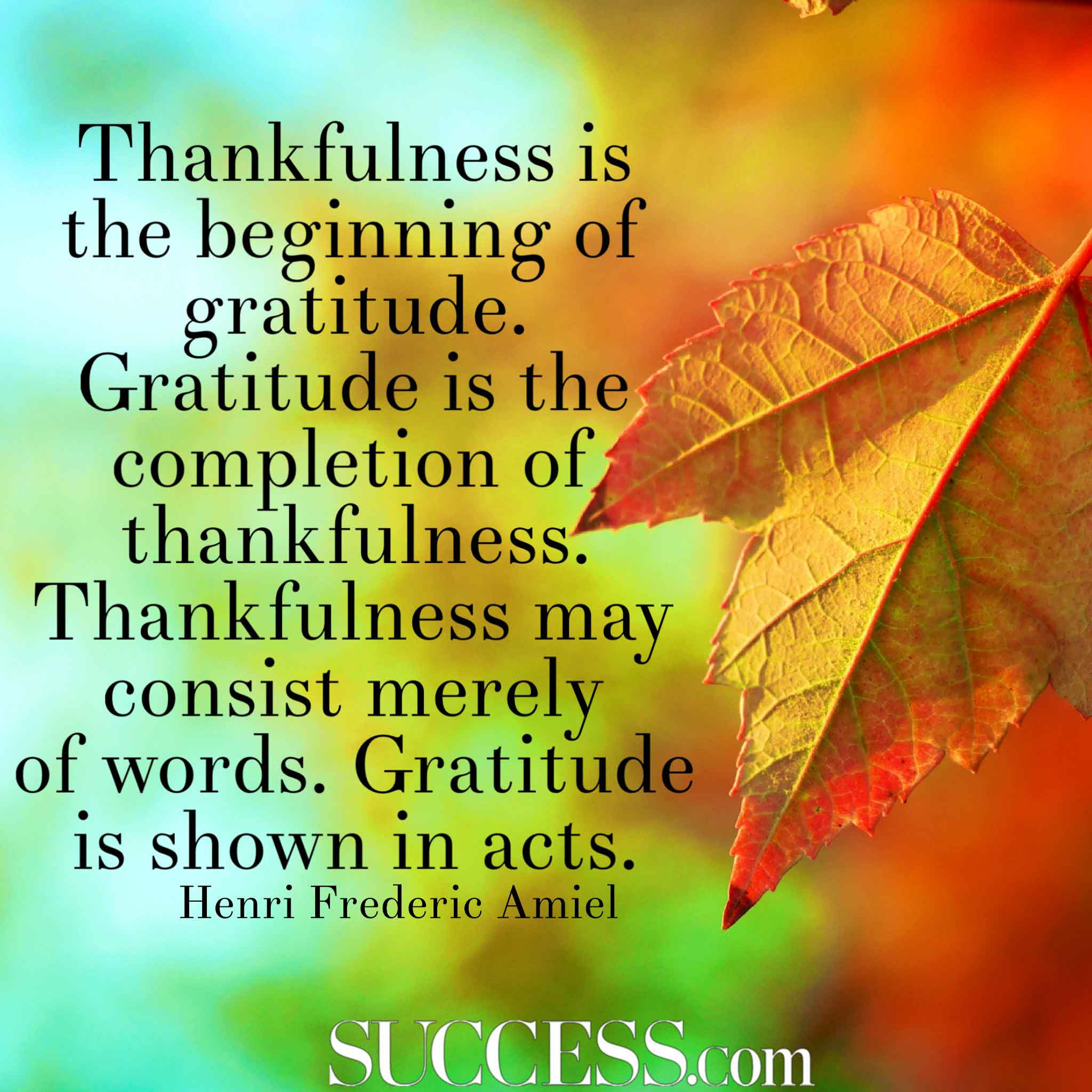Quotes On Thanksgiving And Gratitude
 32 Quotes about Gratitude ActionJacquelyn