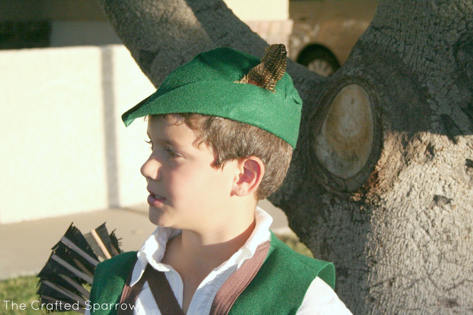 Robin Hood Costume DIY
 Robin Hood & Little John Halloween 2012