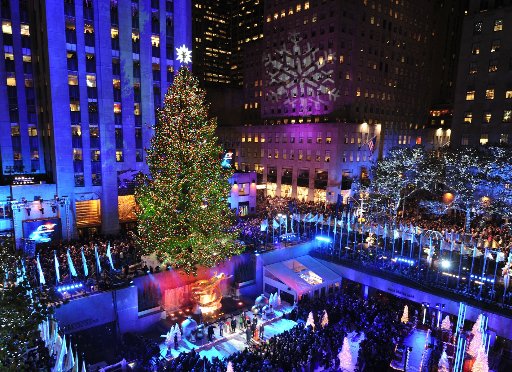 Rockefeller Christmas Tree Lighting
 New York