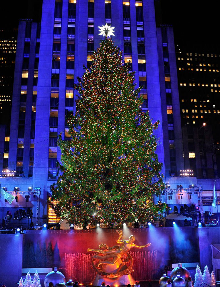 Rockefeller Christmas Tree Lighting
 10 Magical Christmas Trees From Around the World