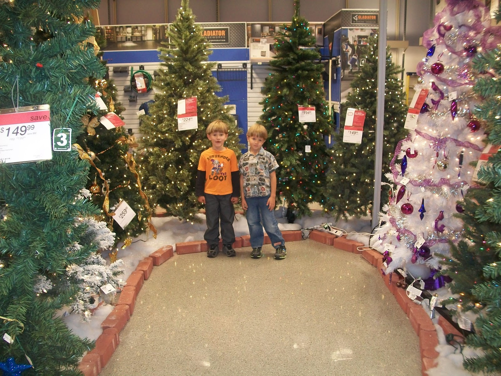 Sear Outdoor Christmas Decorations
 My boys were excited to look at Christmas trees and