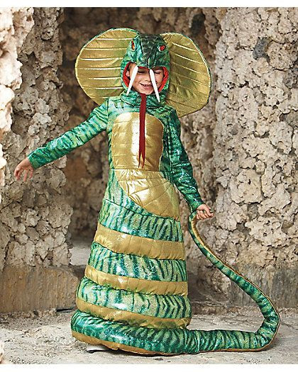 Snake Costume DIY
 11 best snake costume diy kids images on Pinterest