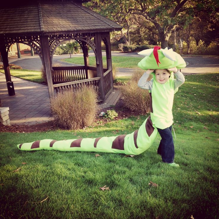 Snake Costume DIY
 Happy Halloween Love Dominic Best Snake Costume EVER