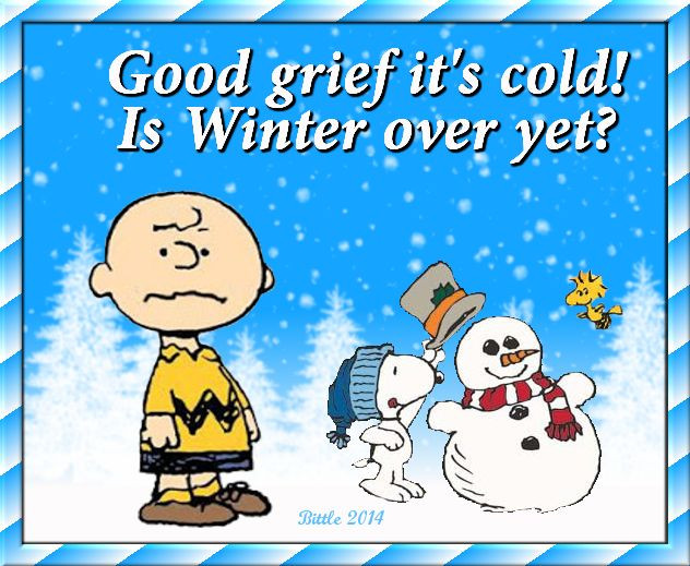 Snoopy Christmas Quotes
 Best 25 Charlie brown meme ideas on Pinterest