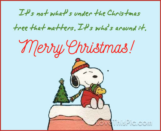 Snoopy Christmas Quotes
 Merry Christmas s and for