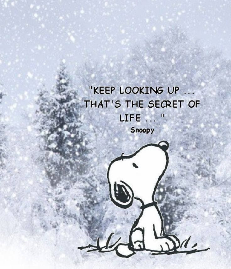Snoopy Christmas Quotes
 Peanuts Christmas Quotes QuotesGram