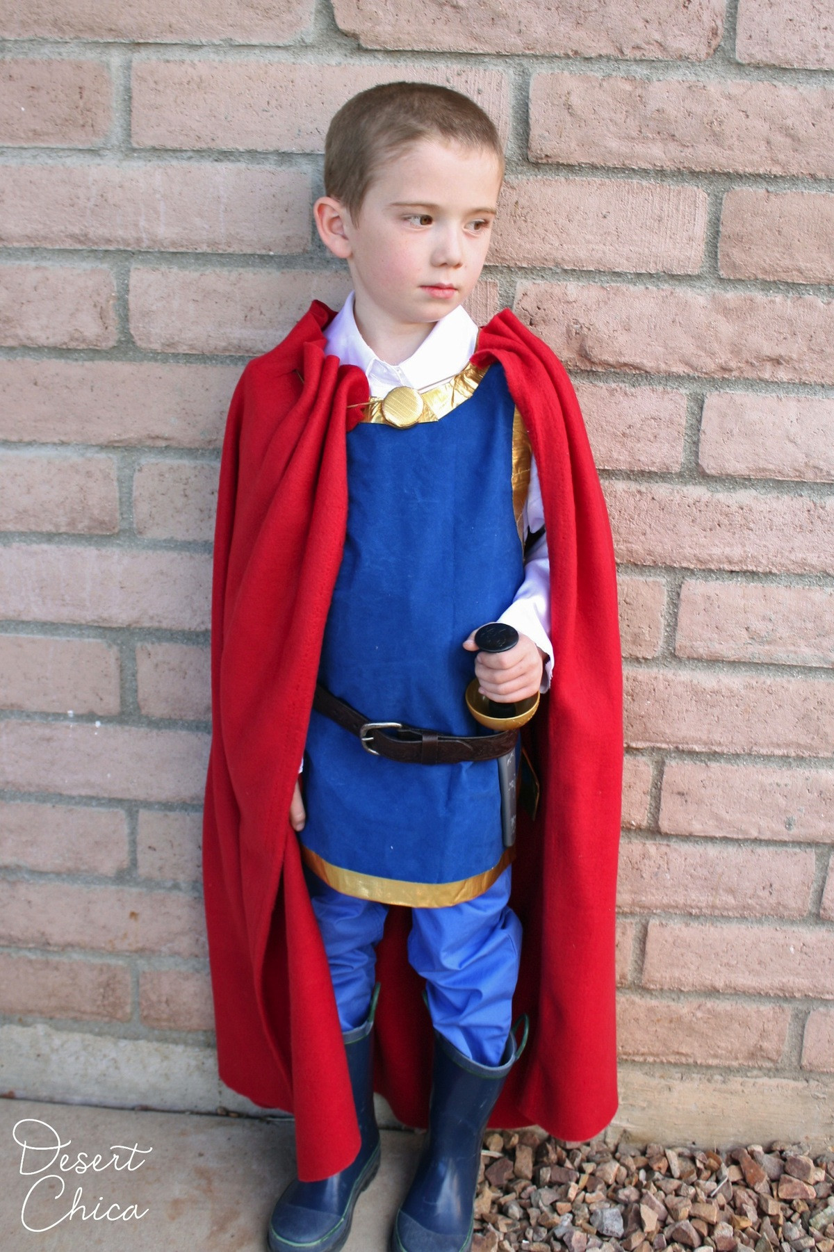 Snow White Costumes DIY
 Easy DIY Snow White Prince Costume
