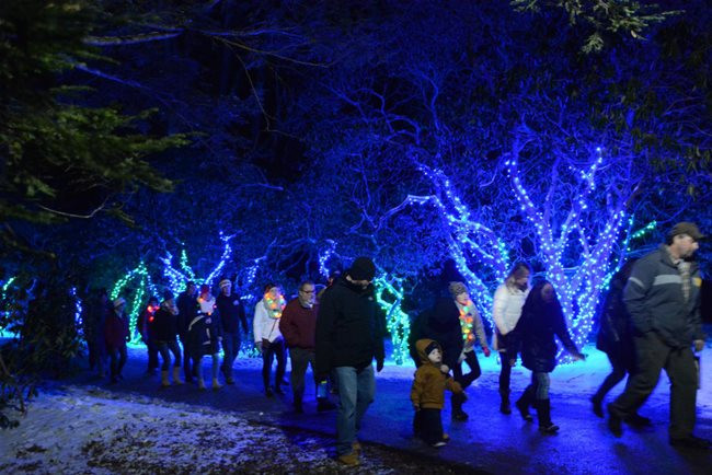 Stone Zoo Christmas Lights 2019
 Holiday Lights and Santa Events in New England