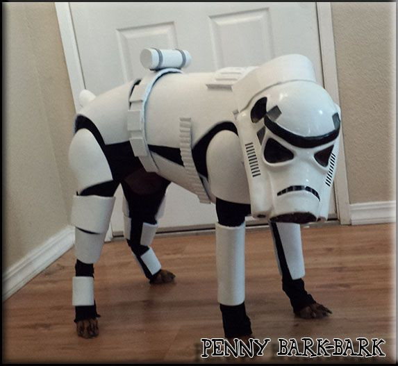 Stormtrooper Costume DIY
 44 best images about DIY Dog Costumes on Pinterest