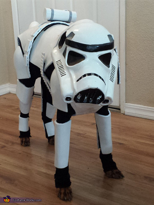 Stormtrooper Costume DIY
 Stormtrooper Dog Costume