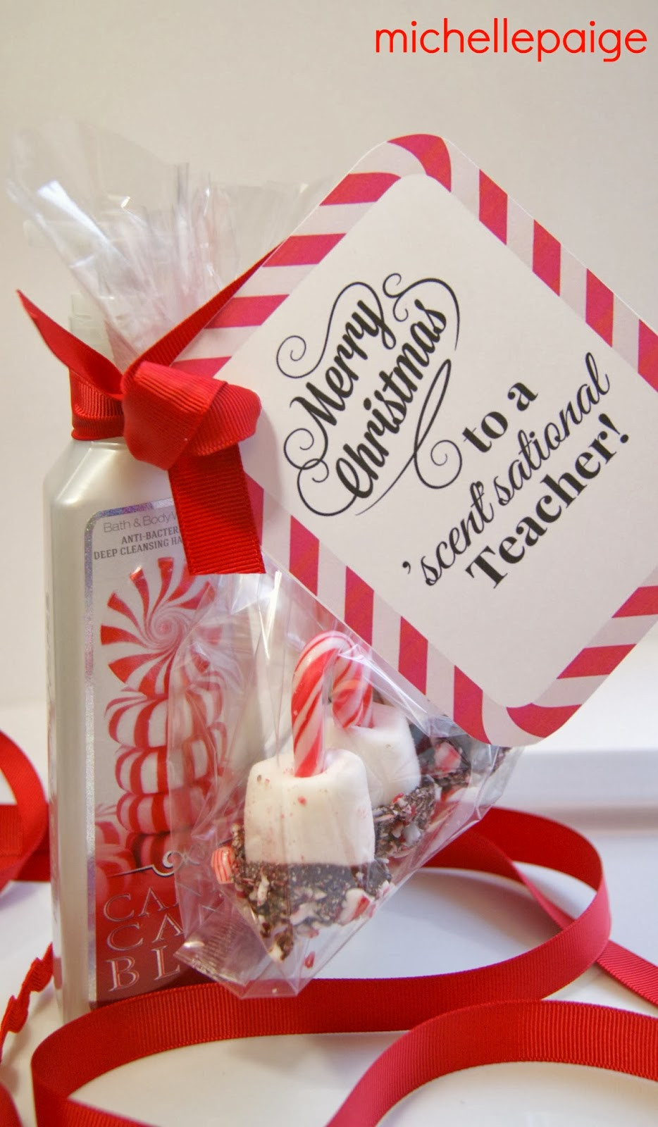 Teacher Gift Ideas For Christmas
 michelle paige blogs Quick Teacher Soap Gift for Christmas