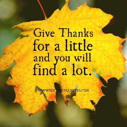 Thanksgiving Day Quotes
 Give Thanks For A Little And You Will Find Alot