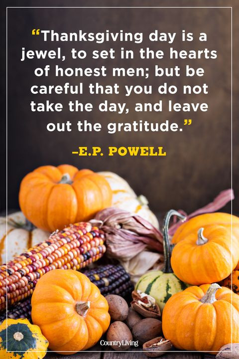 Thanksgiving Day Quotes
 50 Best Thanksgiving Day Quotes Happy Thanksgiving Toast