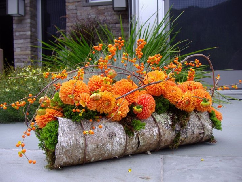 Thanksgiving Flower Arrangement Ideas
 Get on the Plant Trend with 40 Beautiful Thanksgiving