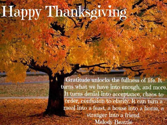 Thanksgiving Gratitude Quotes
 Happy Thanksgiving Gratitude Quote s and