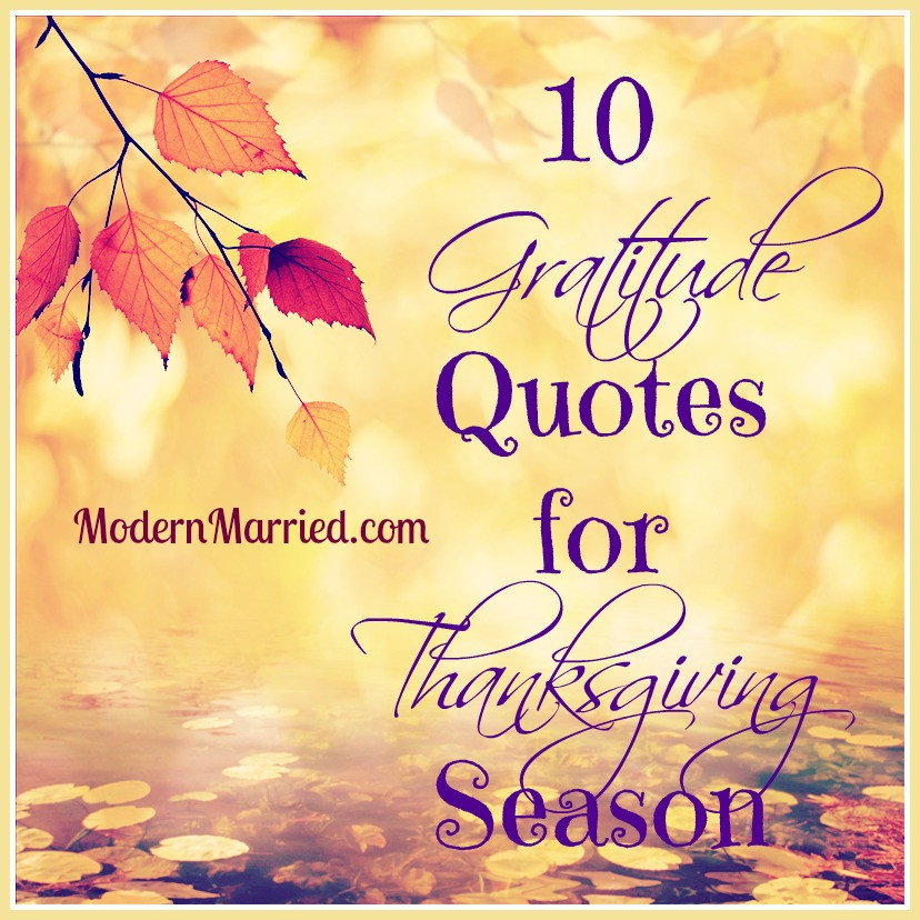 Thanksgiving Gratitude Quotes
 10 Gratitude Quotes for Thanksgiving Season