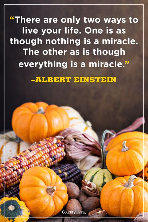 Thanksgiving Images And Quotes
 45 Best Thanksgiving Day Quotes Happy Thanksgiving Toast