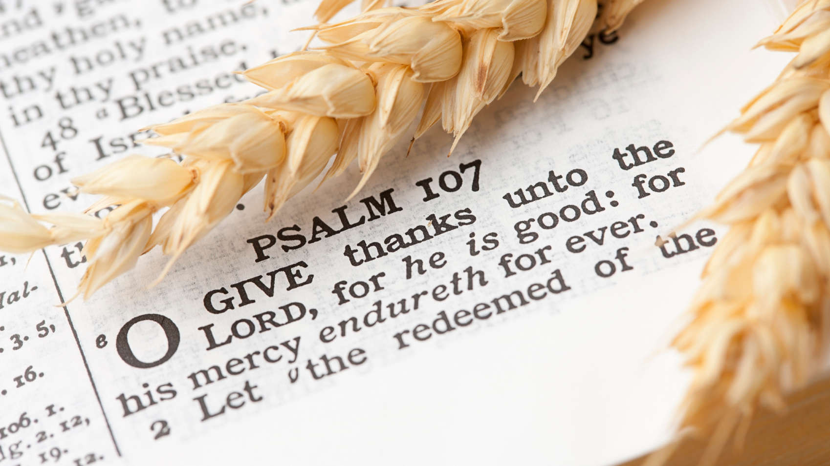 Thanksgiving Quotes In The Bible
 Thanksgiving 2015 Bible Verses for Your Cards Ten Best