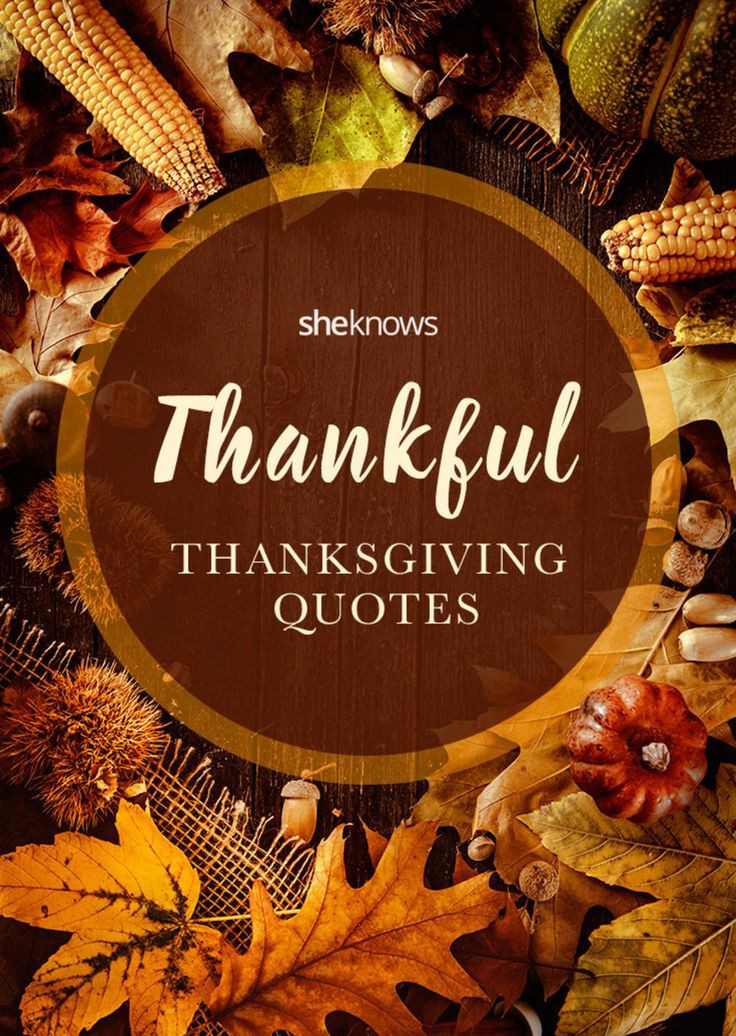 Thanksgiving Thankful Quotes
 Thankful quotes for Thanksgiving