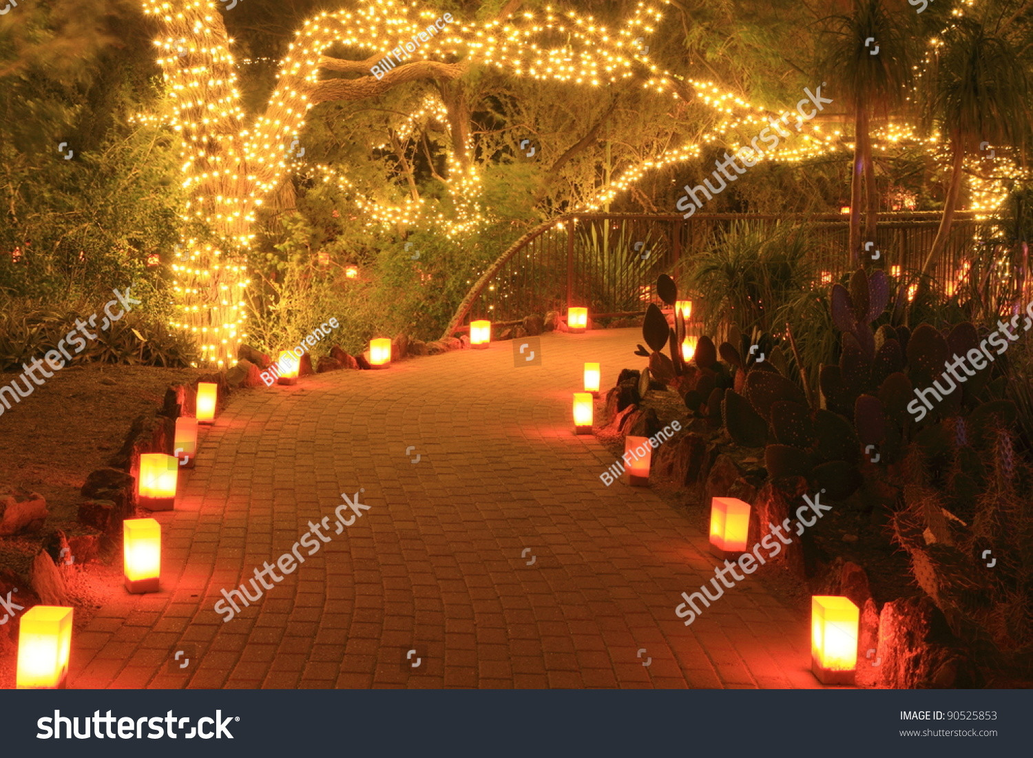 The Christmas Path
 Lovely Garden Path Night Decorated Christmas Stock