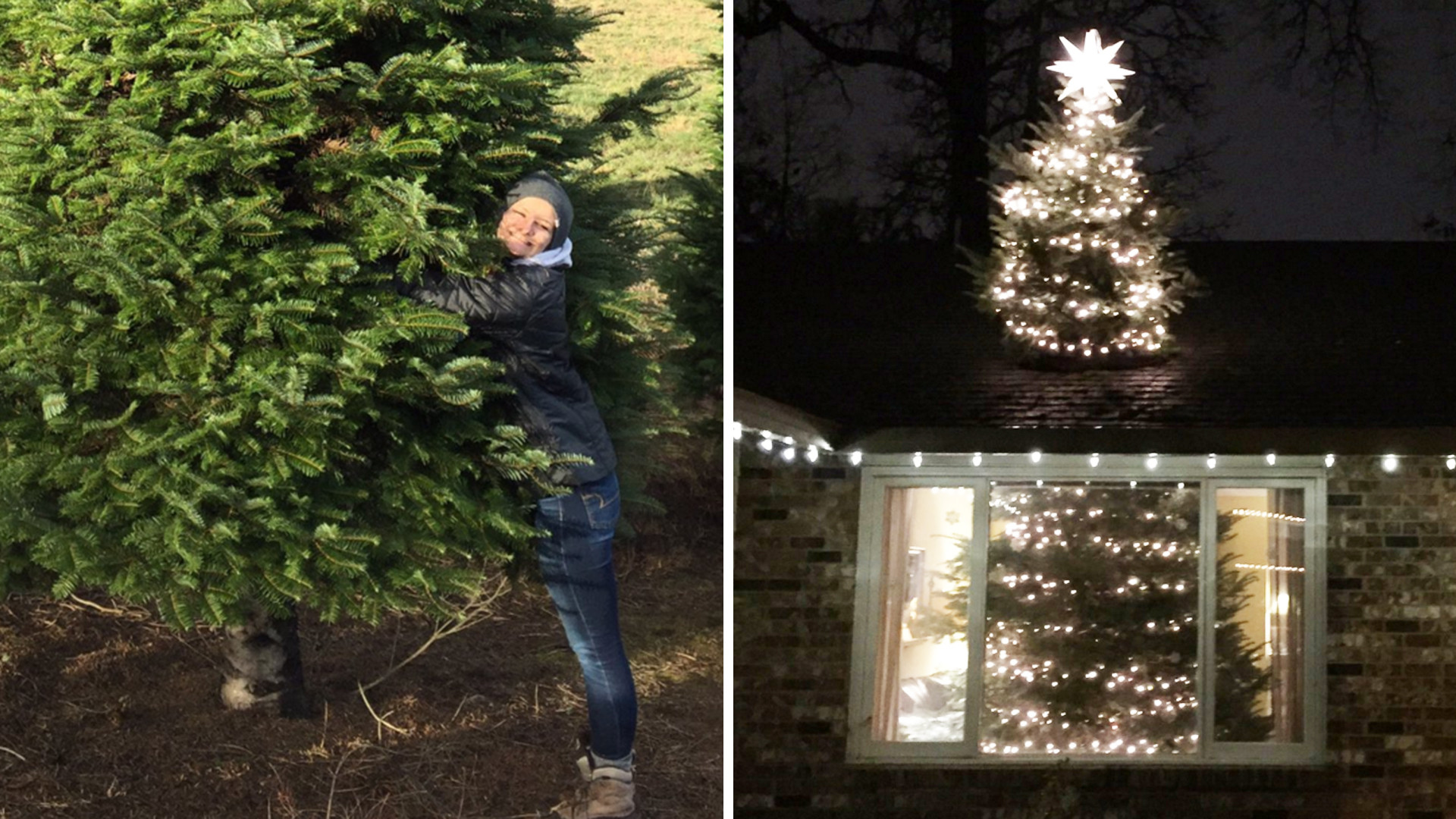 The Rooftop Christmas Tree
 This crazy Christmas tree trend is through the roof