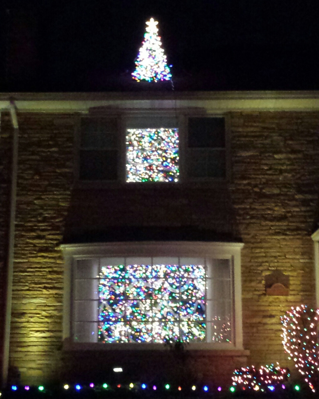 The Rooftop Christmas Tree
 This Christmas tree goes through the roof mildlyinteresting
