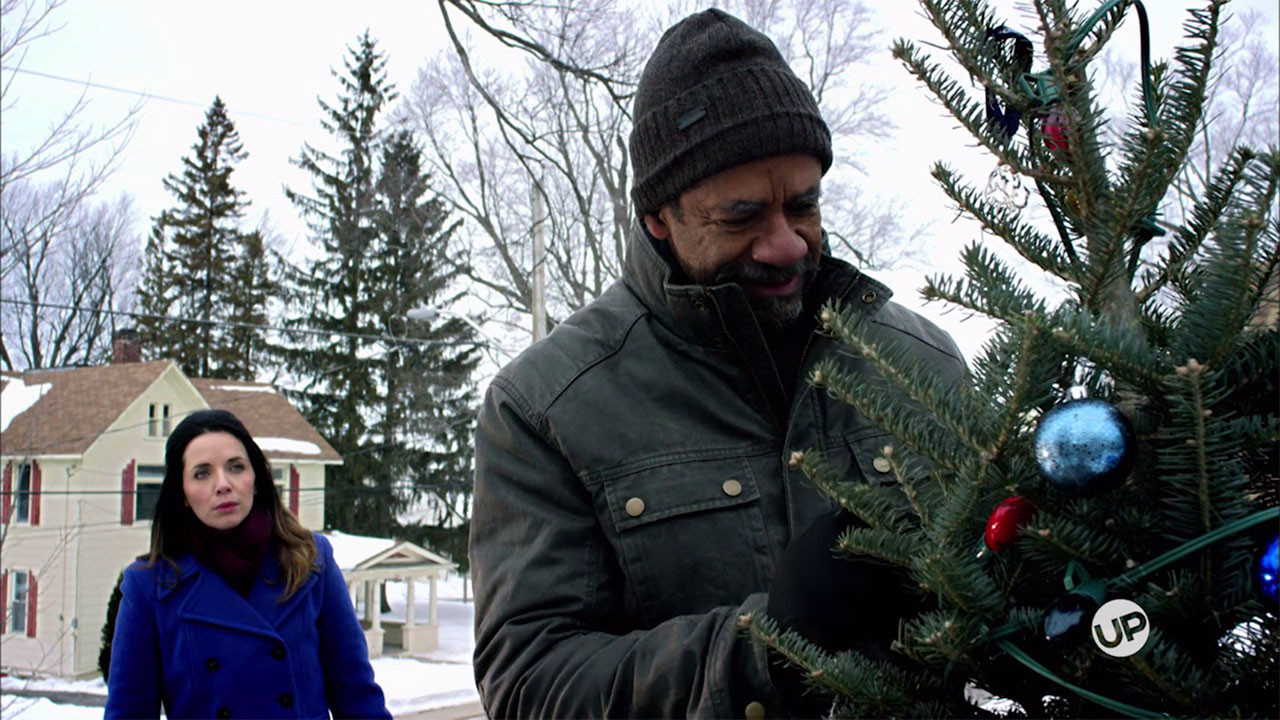 The Rooftop Christmas Tree Cast
 Heartland Heartland Home UPtv TV Series and Movies