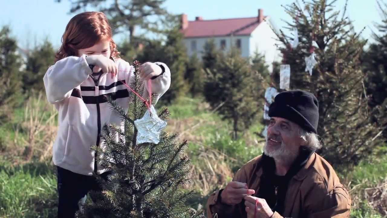 The Rooftop Christmas Tree Cast
 A Christmas Tree Miracle Trailer