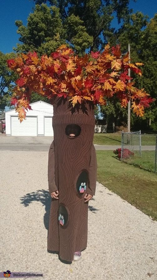 Tree Costume DIY
 25 best ideas about Tree Costume on Pinterest