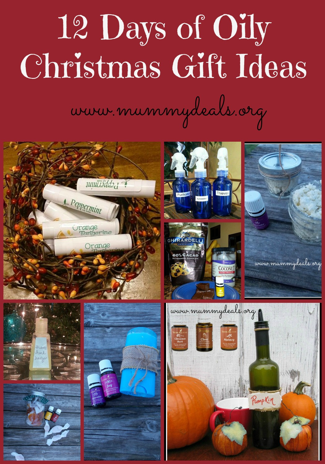 Twelve Days Of Christmas Gift Ideas
 Homemade Thieves Hand Soap