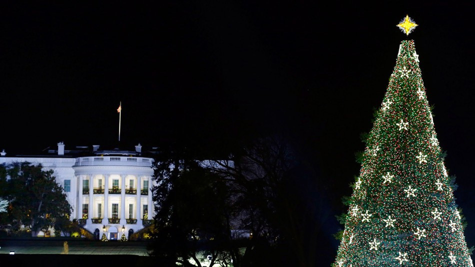 White House Christmas Tree Lighting
 Google s next project for girl coders Lighting White