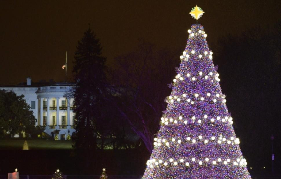 White House Christmas Tree Lighting
 Obama lights up Christmas Tree remembering Mandela NY