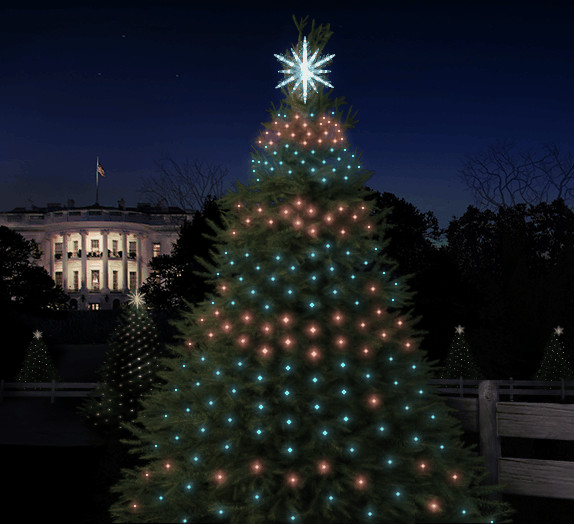 White House Christmas Tree Lighting
 Google Gets Thousands Girls To Program The White House