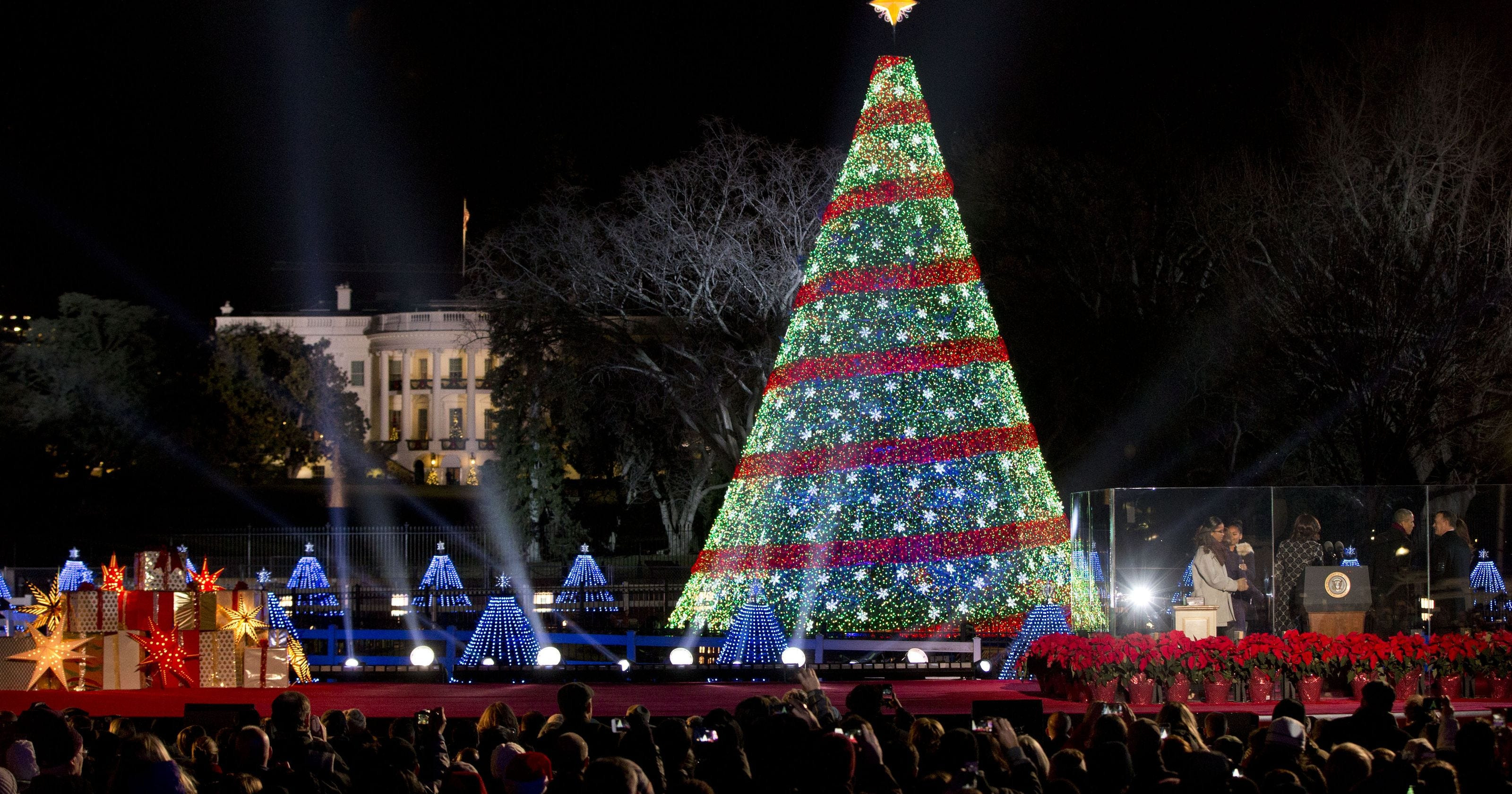 White House Christmas Tree Lighting
 Obama and family light National Christmas Tree