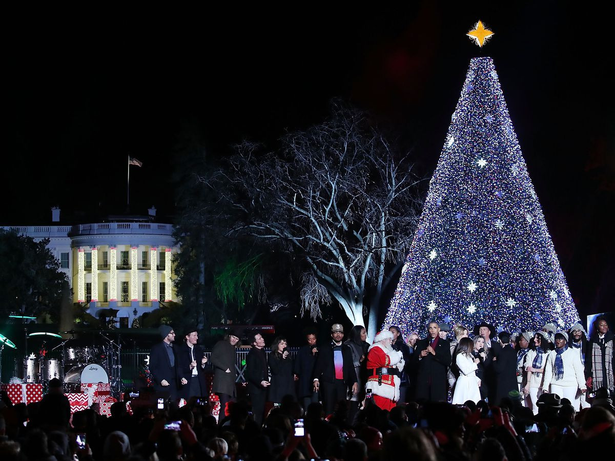 White House Christmas Tree Lighting
 Every Christmas tree worth visiting in the D C area