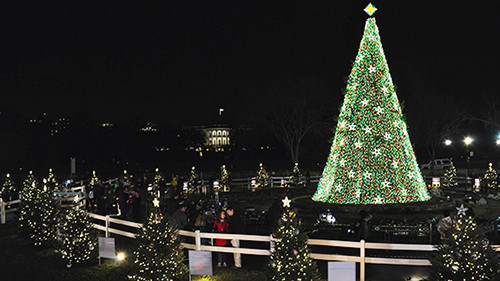 White House Christmas Tree Lighting
 National Christmas Tree President s Park White House