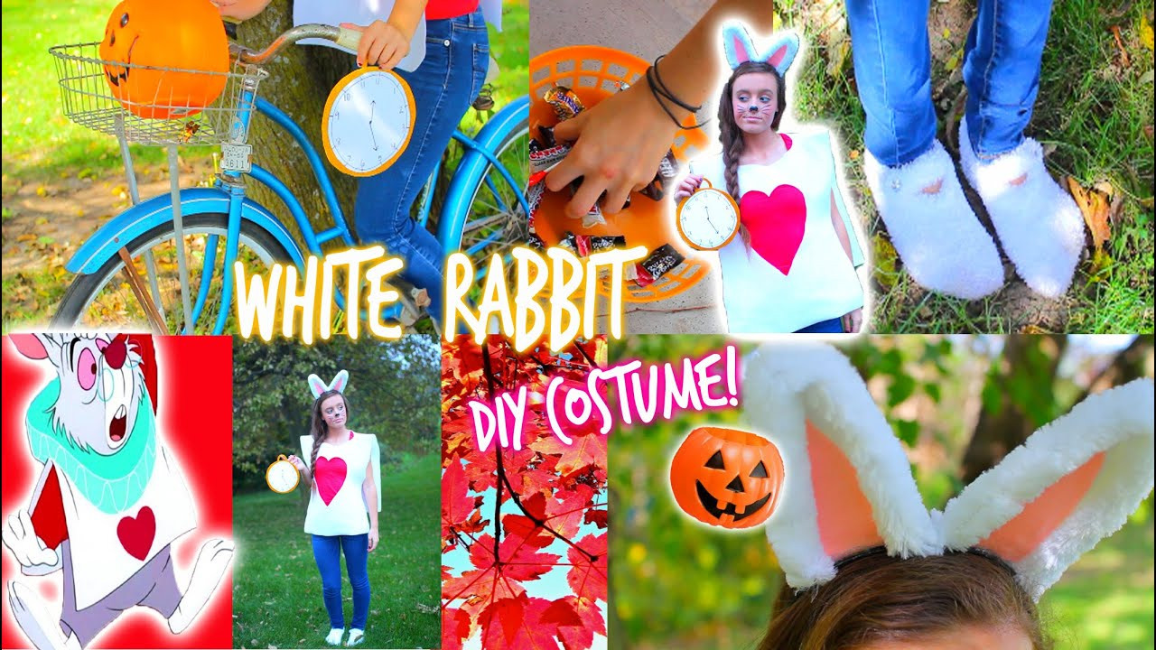 White Rabbit Costume DIY
 DIY White Rabbit Halloween Costume