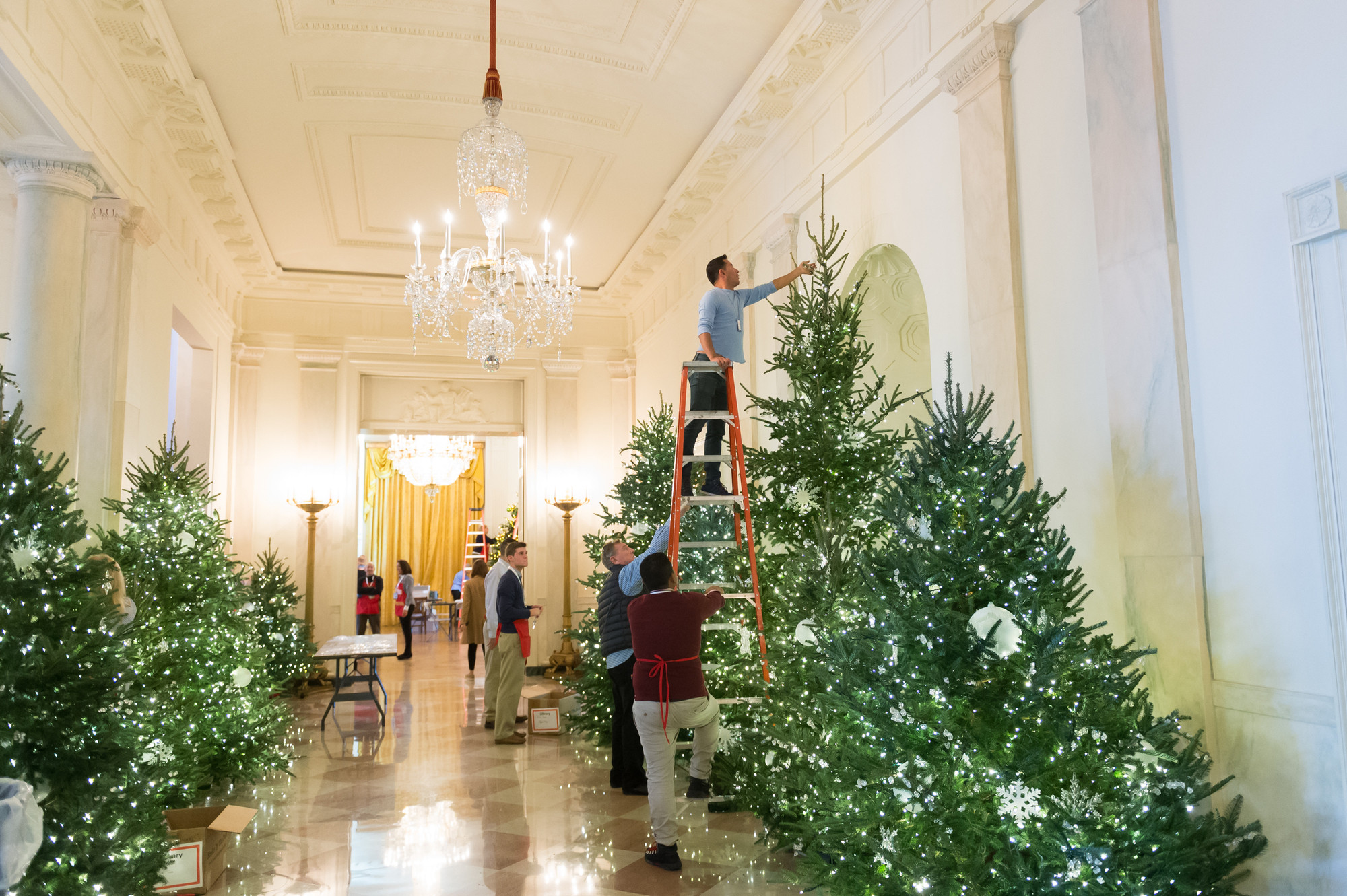 Whitehouse Christmas Tree Lighting 2019
 Christmas at the White House