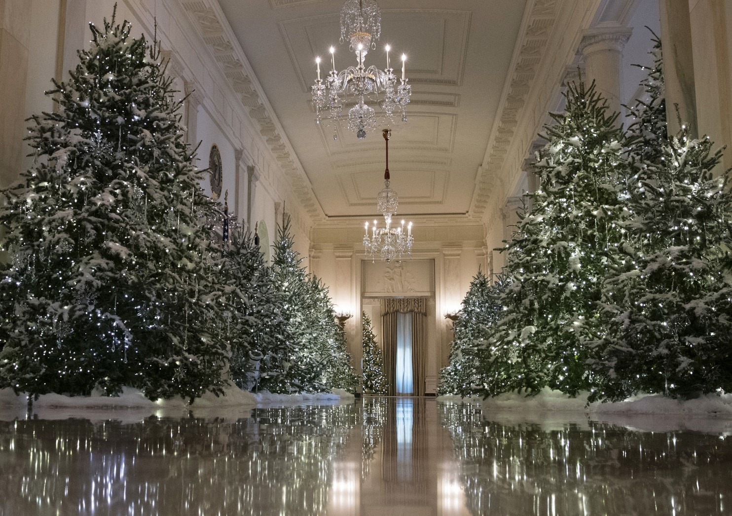 Whitehouse Christmas Tree Lighting 2019
 CNN disinvites itself from annual White House holiday