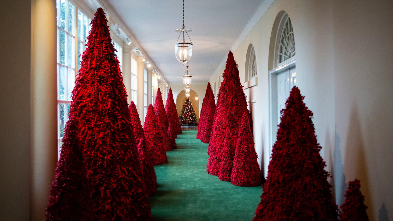 Whitehouse Christmas Tree Lighting 2019
 There Will Be Blood Red Trees The New York Times
