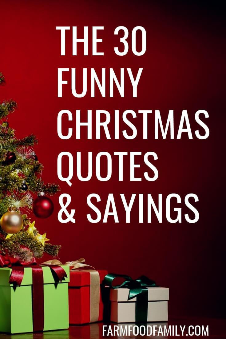 Witty Christmas Quotes
 30 Funny Christmas Quotes & Sayings That Make You Laugh