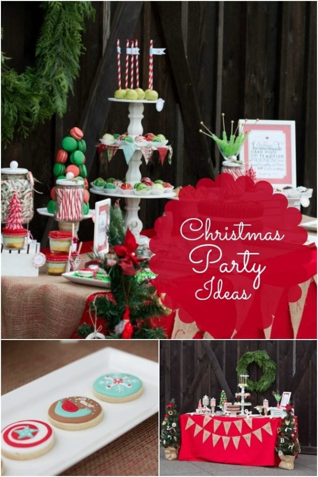 Youth Christmas Party Ideas
 Kids Christmas Birthday Party Ideas